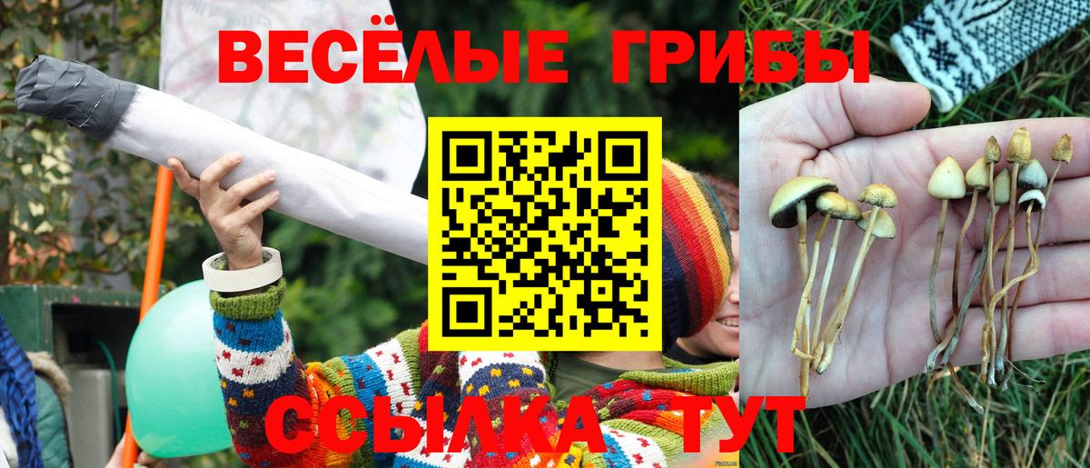 Галлюциногенные грибы Psilocybe  Галлюциногенные грибы мухоморы  Кохма  Вход с VPN 