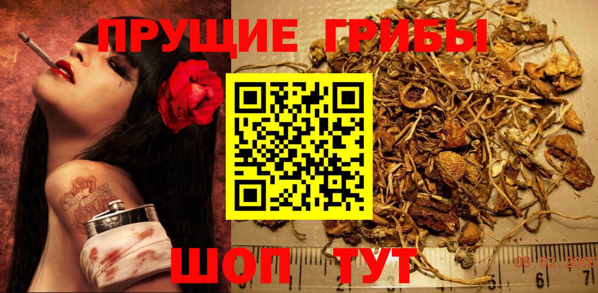 Галлюциногенные грибы мицелий Кохма